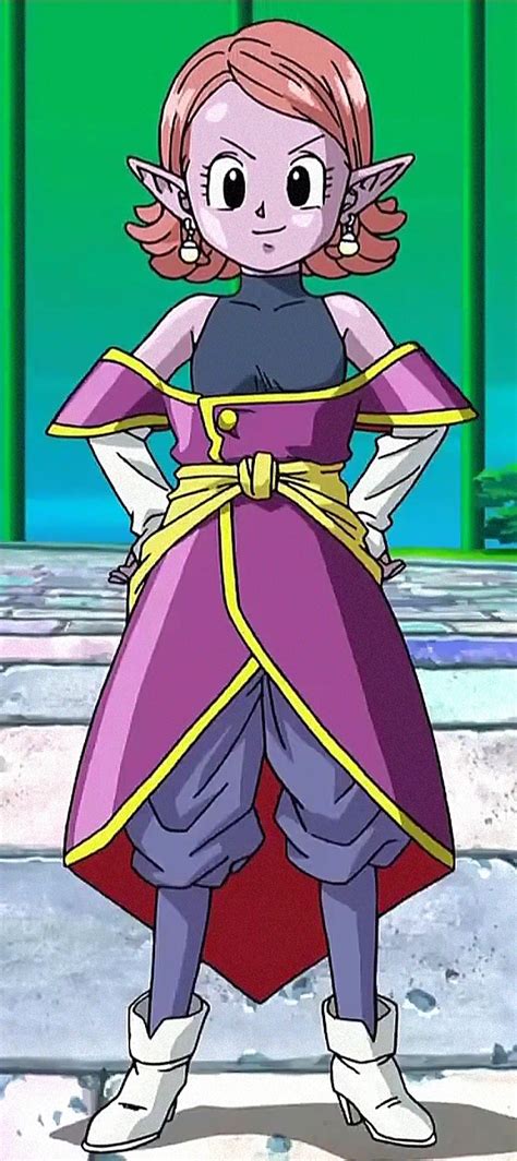 chronoa dragon ball|is supreme kai and elder the same person.